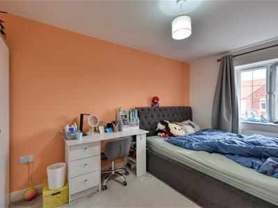 Picture 16